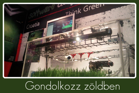 Imagine Cup 2010 Think Green.jpg